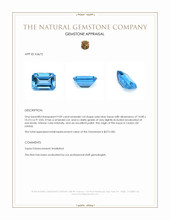 9.09 Ct. Swiss Blue Topaz from Ceylon (Sri Lanka) Appraisal