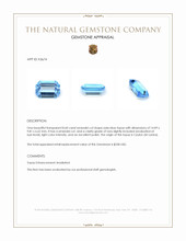 8.60 Ct. Swiss Blue Topaz from Ceylon (Sri Lanka) Appraisal