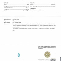 Jewelry Scan Report