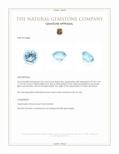 3.35 Ct. Blue Aquamarine from Ceylon (Sri Lanka) Appraisal