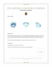 3.35 Ct. Aquamarine from Ceylon (Sri Lanka) Appraisal