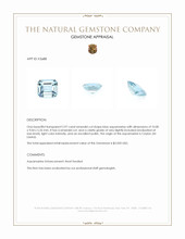 2.97 Ct. Blue Aquamarine from Ceylon (Sri Lanka) Appraisal