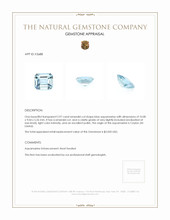 2.97 Ct. Aquamarine from Ceylon (Sri Lanka) Appraisal