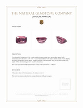 0.49 Ct. Almandine Garnet from Ceylon (Sri Lanka) Appraisal