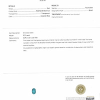 Jewelry Scan Report