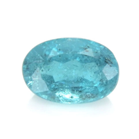 0.31 Ct. Paraiba Tourmaline from Brazil Video