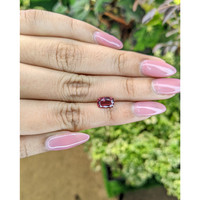 1.77 Ct. Almandine Garnet from Ceylon (Sri Lanka) Life Style