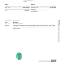 8.43 Ct. Cabochon Paraiba Tourmaline from Mozambique Scan Report