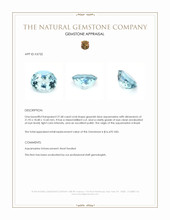 27.68 Ct. Aquamarine from Brazil Appraisal