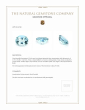 27.68 Ct. Aquamarine from Brazil Appraisal