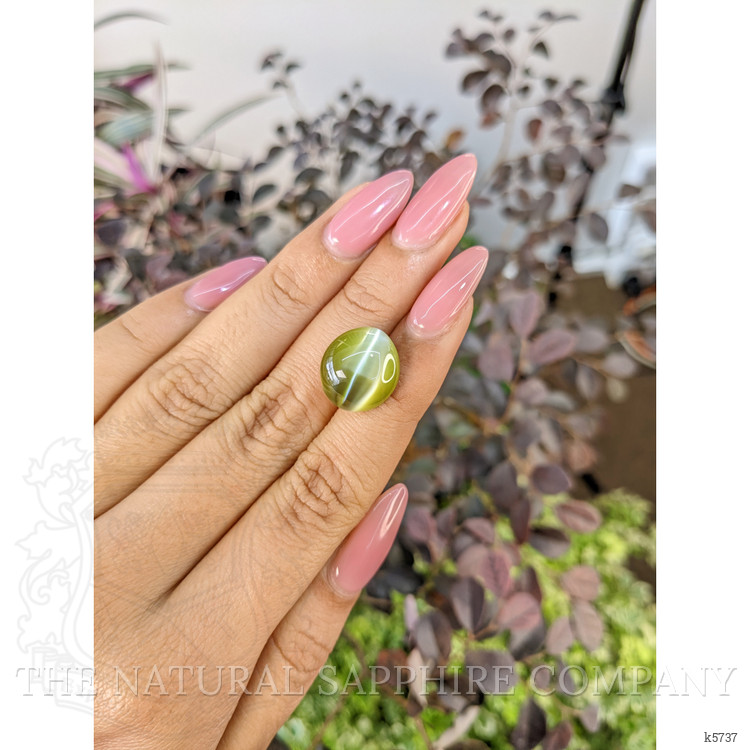 16.92 Ct. Cabochon Chrysoberyl from Ceylon (Sri Lanka)