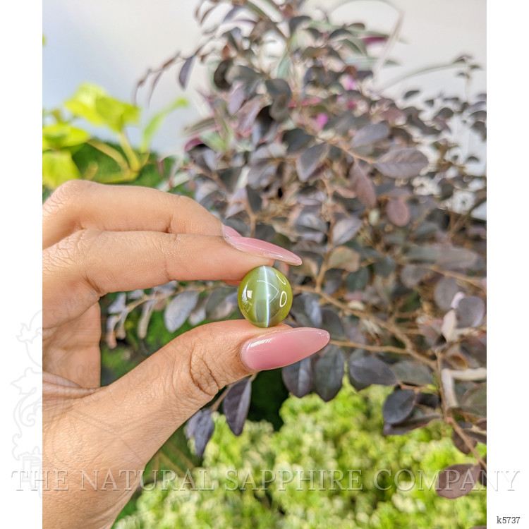 16.92 Ct. Cabochon Chrysoberyl from Ceylon (Sri Lanka)
