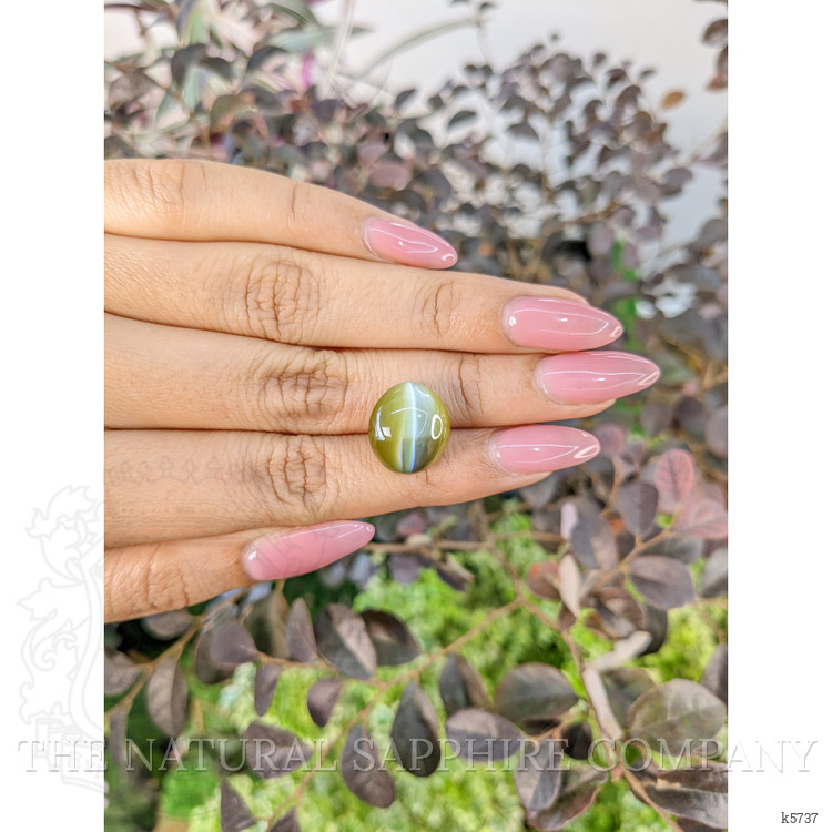 16.92 Ct. Cabochon Chrysoberyl from Ceylon (Sri Lanka)