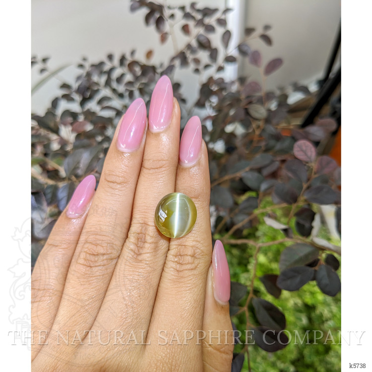 19.10 Ct. Cabochon Chrysoberyl from Ceylon (Sri Lanka)
