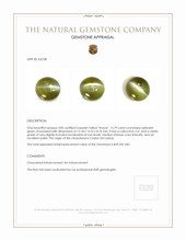 13.79 Ct. Cabochon Chrysoberyl from Ceylon (Sri Lanka) Appraisal