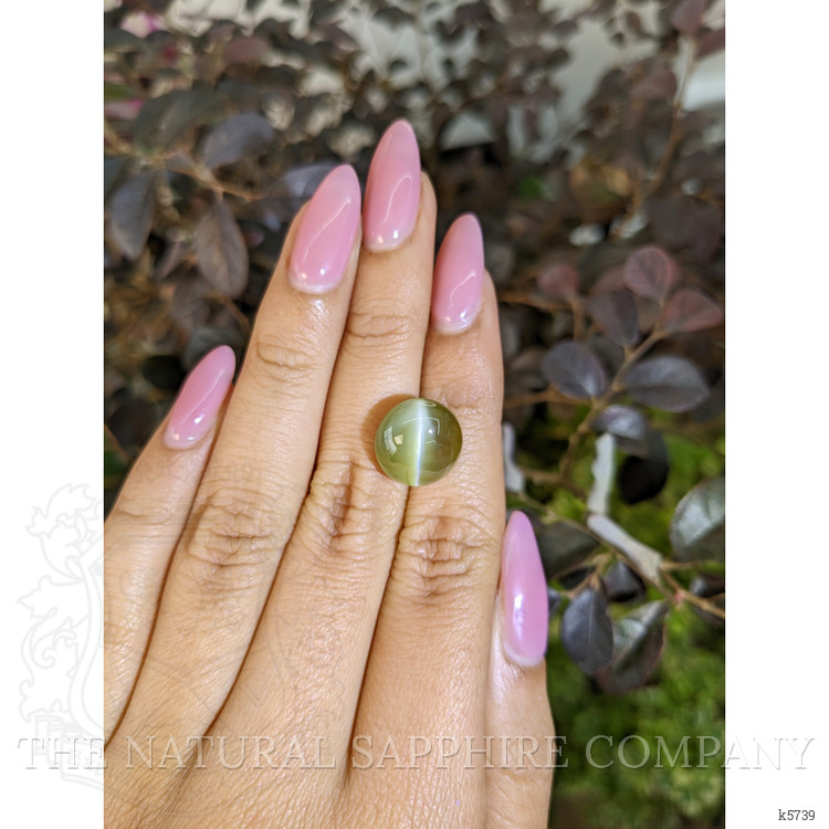 13.79 Ct. Cabochon Chrysoberyl from Ceylon (Sri Lanka)