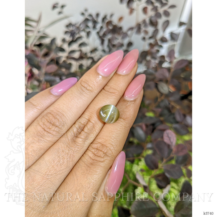 8.46 Ct. Cabochon Chrysoberyl from Ceylon (Sri Lanka)