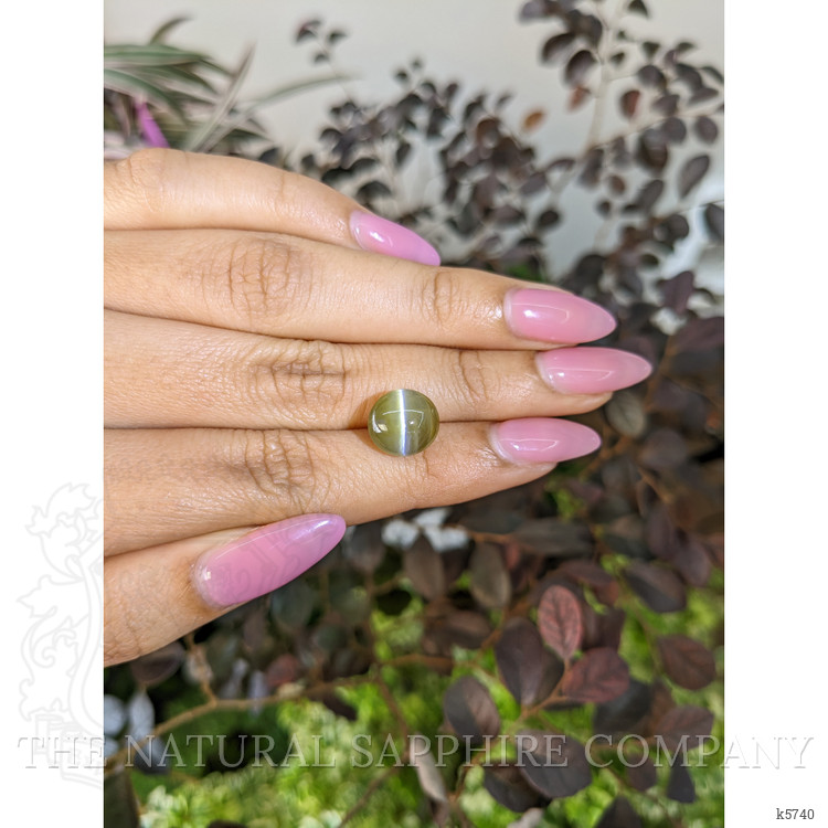 8.46 Ct. Cabochon Chrysoberyl from Ceylon (Sri Lanka)