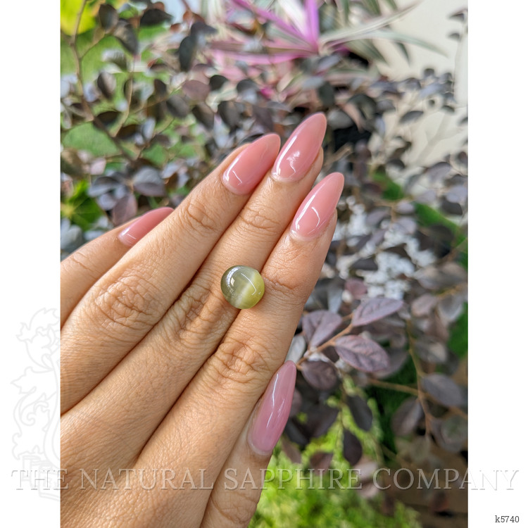 8.46 Ct. Cabochon Chrysoberyl from Ceylon (Sri Lanka)