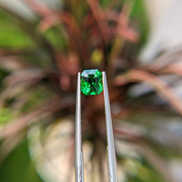 1.05 Ct. Tsavorite Garnet from Tanzania Life Style