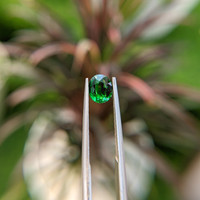 0.97 Ct. Tsavorite Garnet from Tanzania Life Style