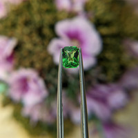 1.11 Ct. Tsavorite Garnet from Tanzania Life Style