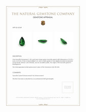 1.00 Ct. Tsavorite Garnet from Madagascar Appraisal