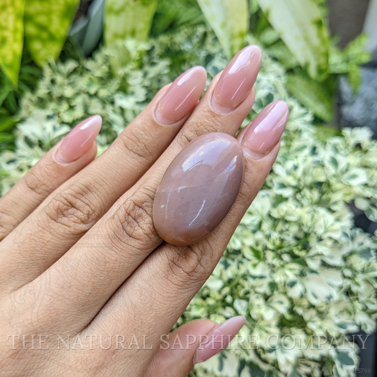 54.00 Ct. Cabochon Moonstone from Ceylon (Sri Lanka)