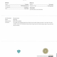 Jewelry Scan Report