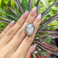 27.41 Ct. Cabochon Moonstone from Ceylon (Sri Lanka) Life Style