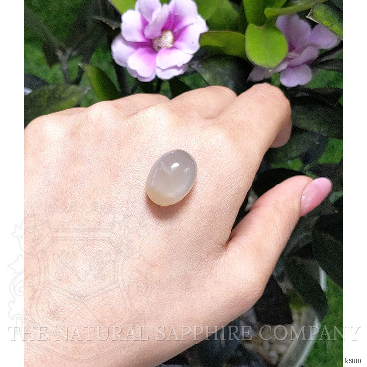 21.29 Ct. Cabochon Moonstone from Ceylon (Sri Lanka)