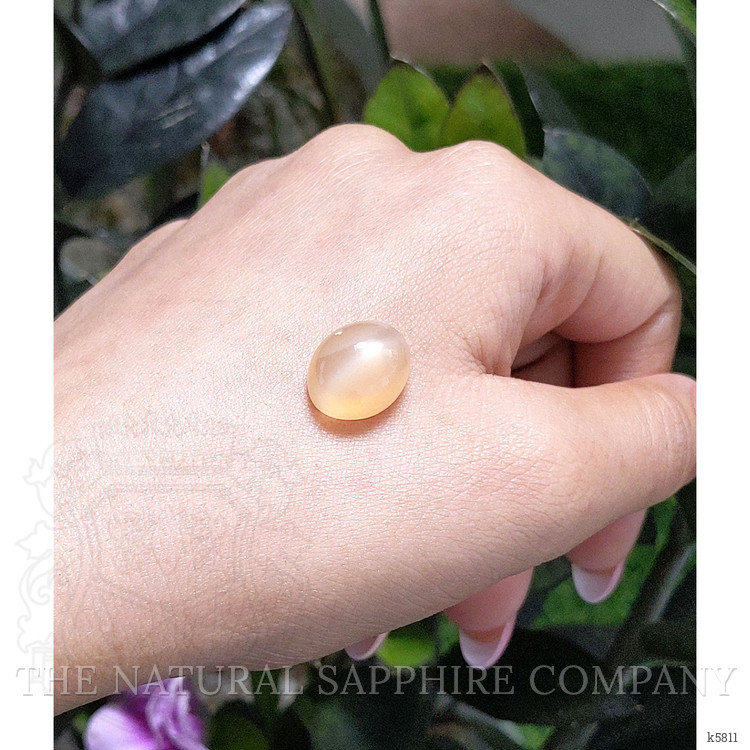 11.19 Ct. Cabochon Moonstone from Ceylon (Sri Lanka)