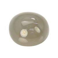 25.38 Ct. Cabochon Moonstone from Ceylon (Sri Lanka) Video