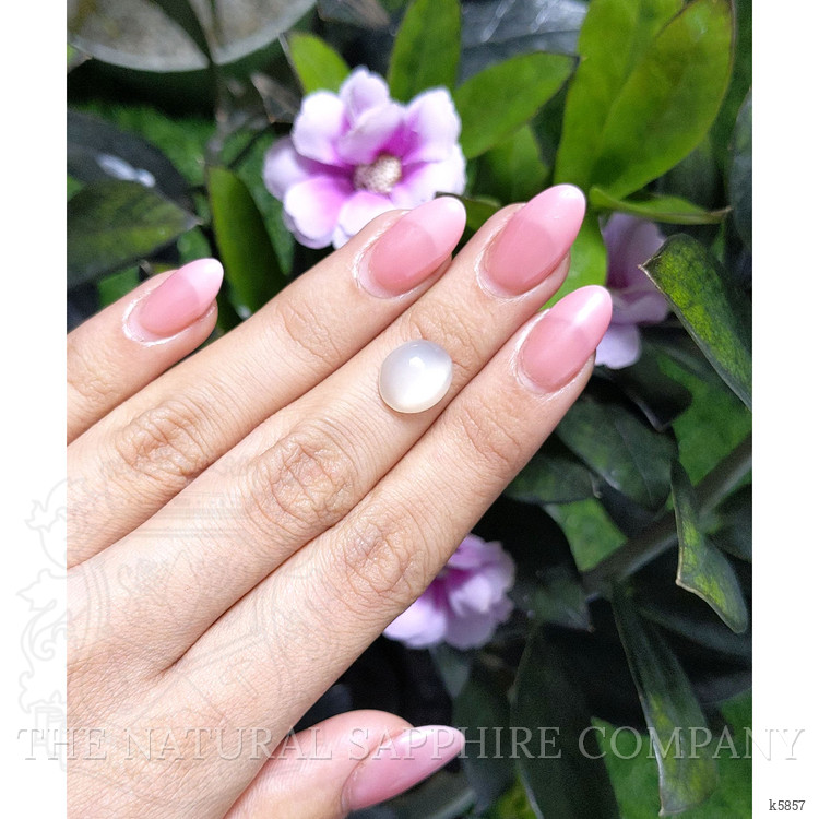 3.99 Ct. Cabochon Moonstone from Ceylon (Sri Lanka)