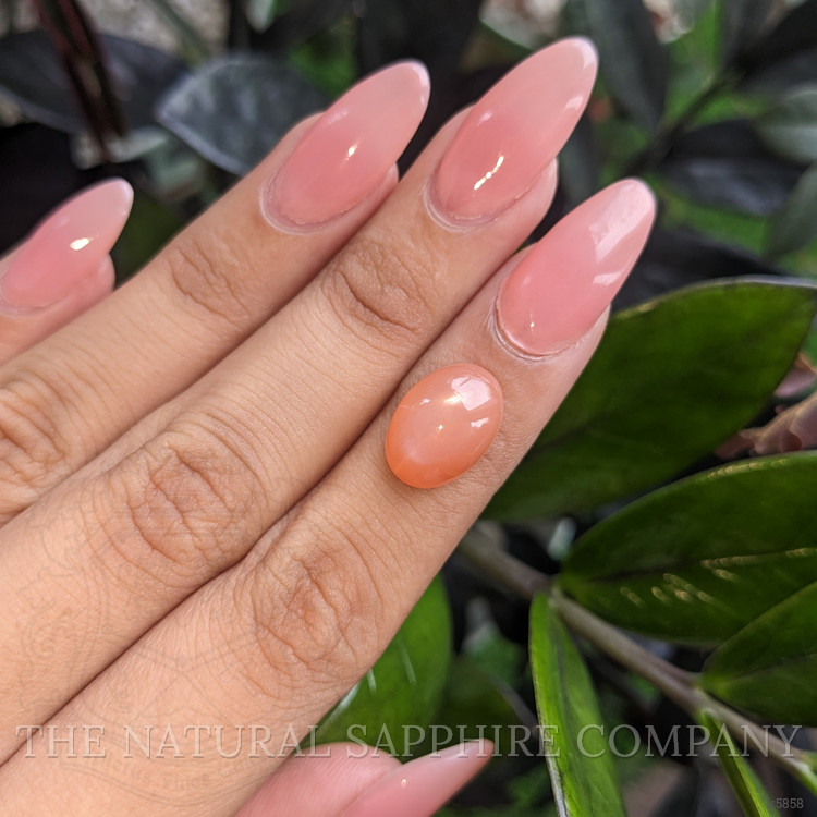 6.01 Ct. Cabochon Moonstone from Ceylon (Sri Lanka)