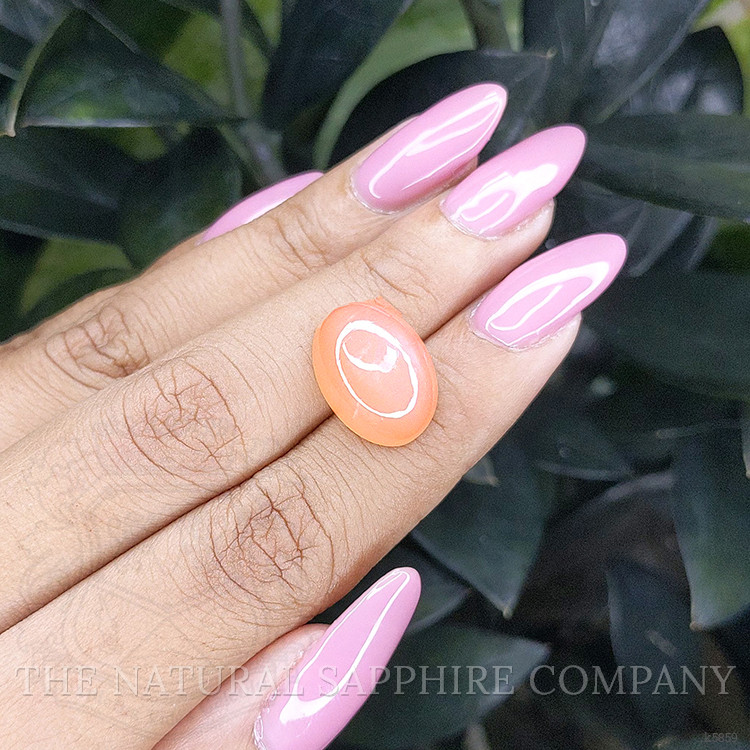 10.13 Ct. Cabochon Moonstone from Ceylon (Sri Lanka)