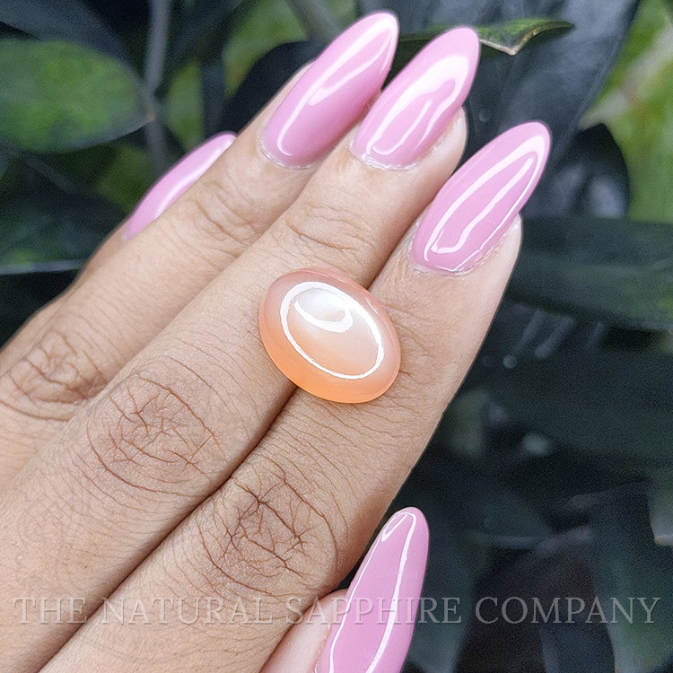 10.19 Ct. Cabochon Moonstone from Ceylon (Sri Lanka)