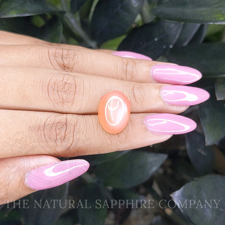 10.19 Ct. Cabochon Moonstone from Ceylon (Sri Lanka)