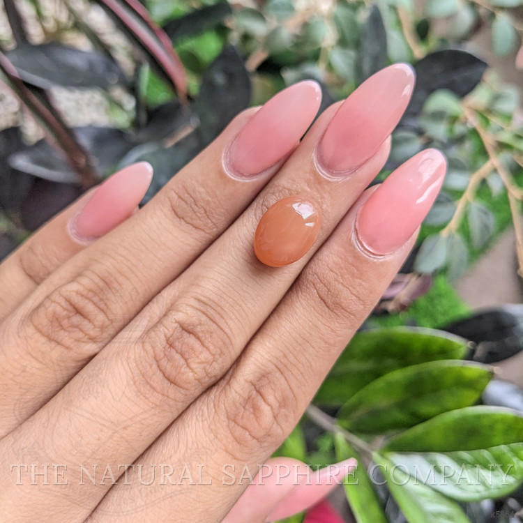 8.65 Ct. Cabochon Moonstone from Ceylon (Sri Lanka)