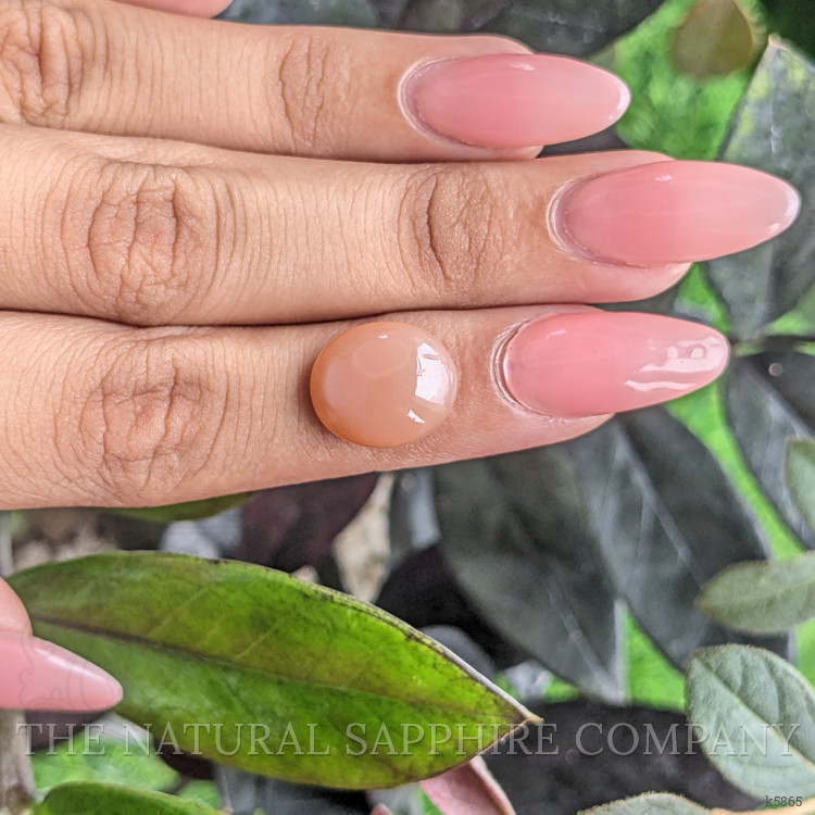 6.22 Ct. Cabochon Moonstone from Ceylon (Sri Lanka)