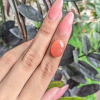 10.00 Ct. Cabochon Moonstone from Ceylon (Sri Lanka) Life Style