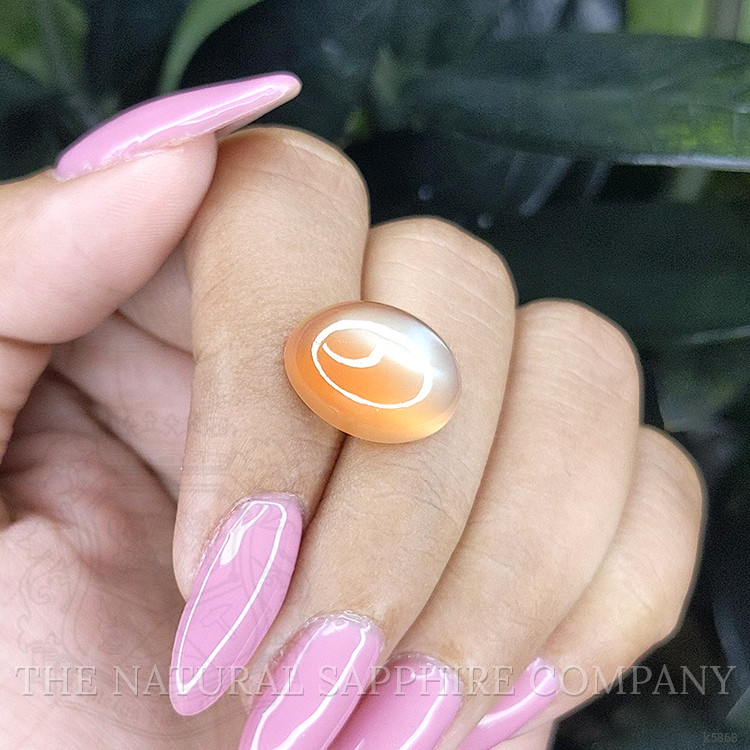 10.57 Ct. Cabochon Moonstone from Ceylon (Sri Lanka)