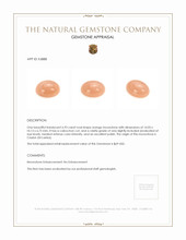 6.93 Ct. Cabochon Moonstone from Ceylon (Sri Lanka) Appraisal