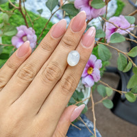 9.76 Ct. Cabochon Moonstone from Ceylon (Sri Lanka) Life Style