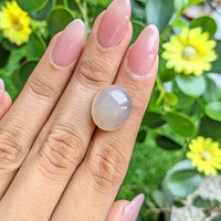 14.16 Ct. Cabochon Moonstone from Ceylon (Sri Lanka) Life Style