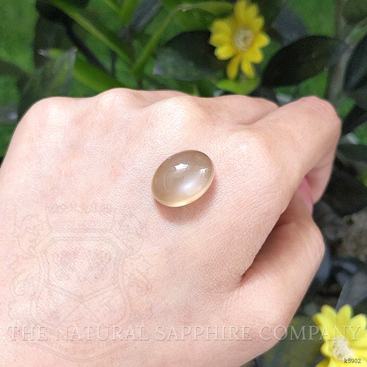 14.32 Ct. Cabochon Moonstone from Ceylon (Sri Lanka)