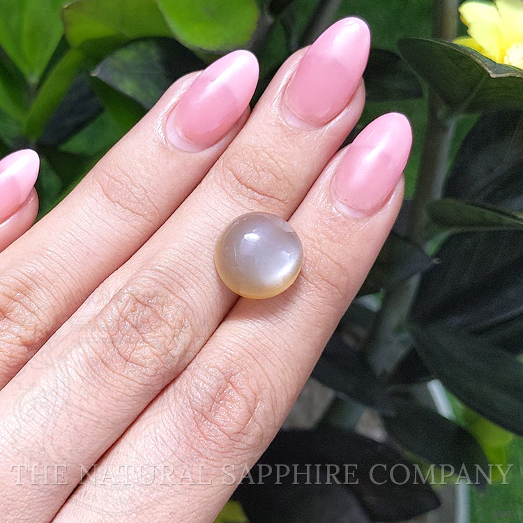 10.91 Ct. Cabochon Moonstone from Ceylon (Sri Lanka)