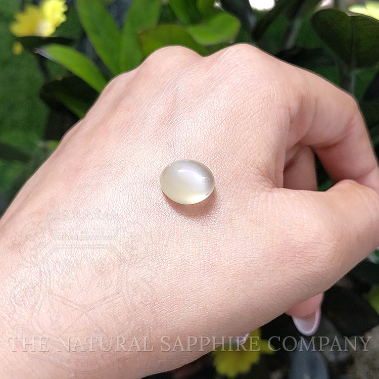 7.06 Ct. Cabochon Moonstone from Ceylon (Sri Lanka)