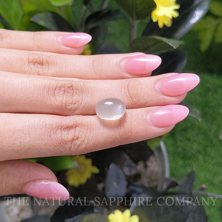 8.72 Ct. Cabochon Moonstone from Ceylon (Sri Lanka)