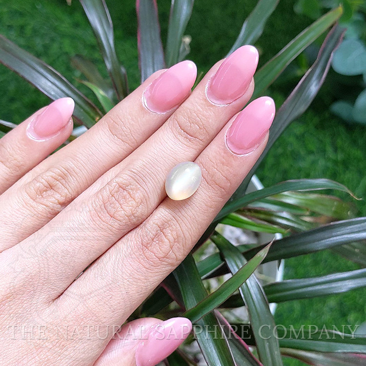 6.59 Ct. Cabochon Moonstone from Ceylon (Sri Lanka)